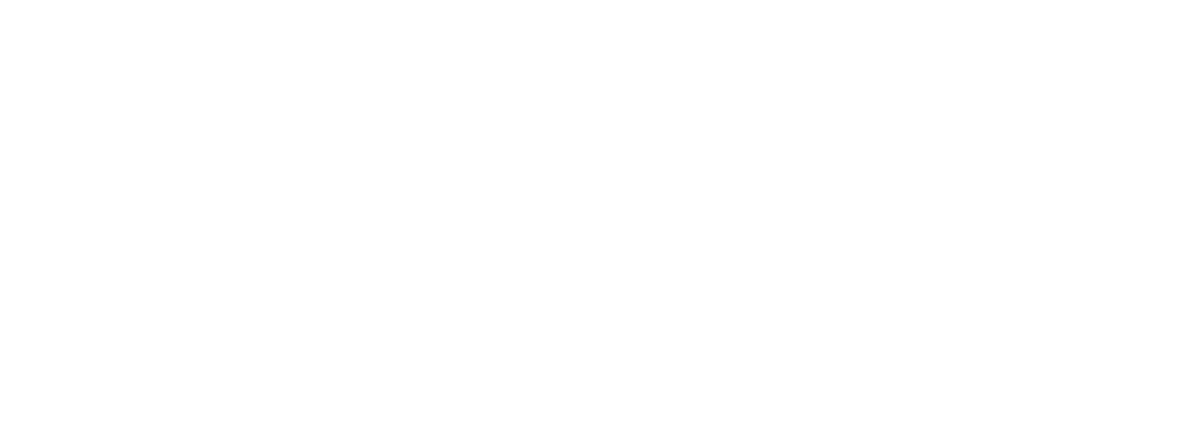 Vili Power Solutions